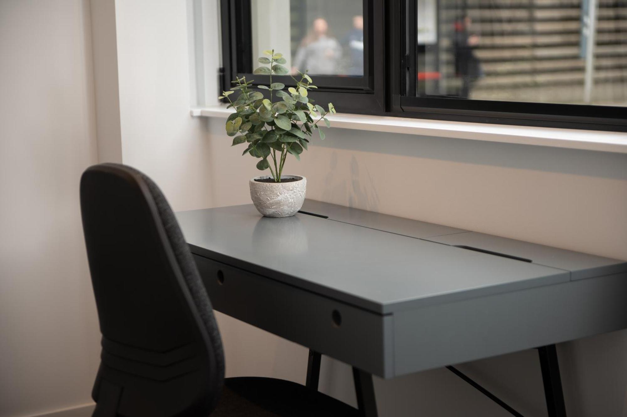 Hoxton By Capital London